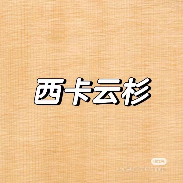 微信图片_20240806165609.jpg